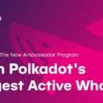 Polkadot whale Discussions