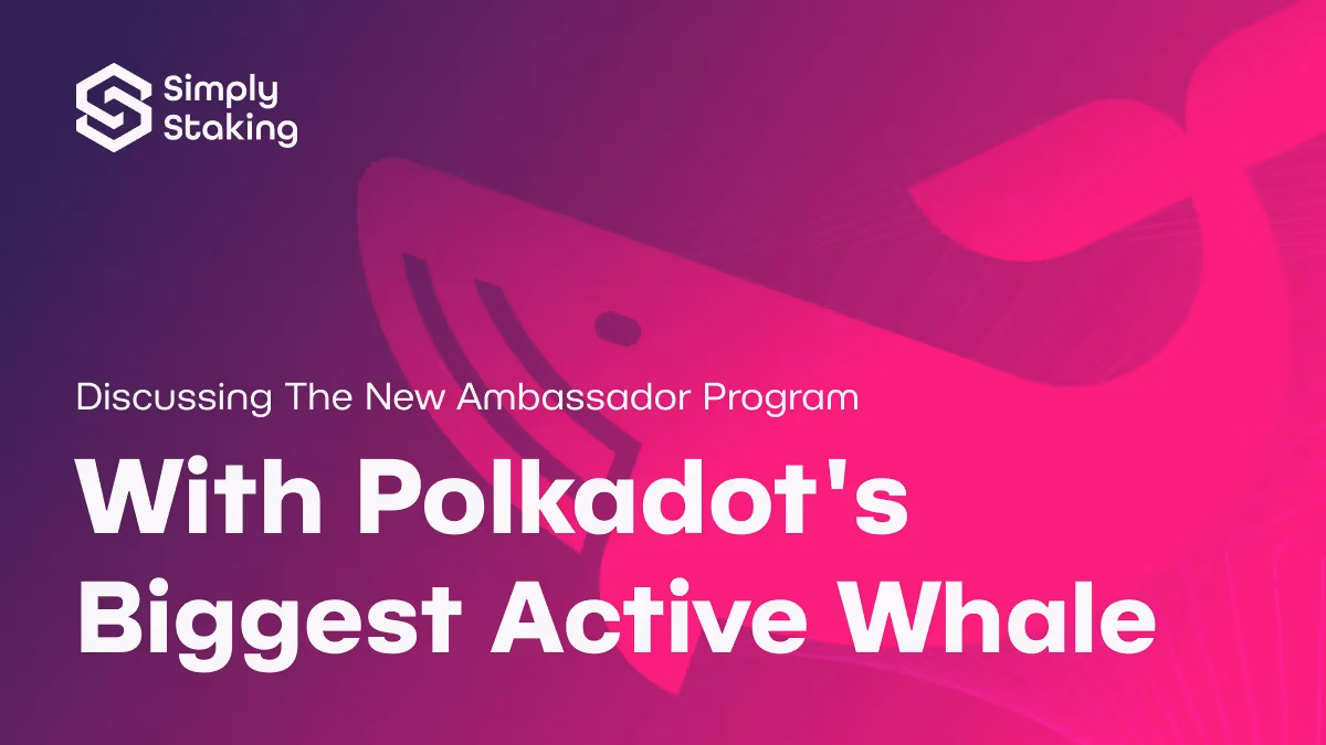 Ambassador Program Discussion with Polkadot’s Biggest Active Whale