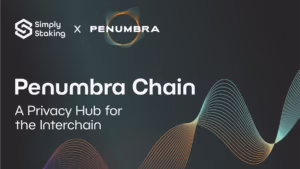 Penumbra Chain: A Privacy Hub for the Interchain