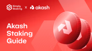 Akash Staking Guide