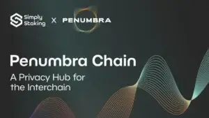 Penumbra Chain: A Privacy Hub for the Interchain