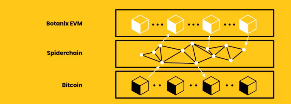 Bitcoin Layer 2 Solutions (L2s) 6 botanix