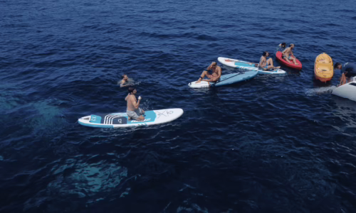 simply_boat_3-min.png